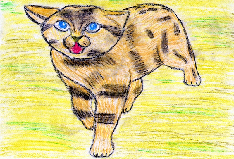 Камышовая кошка